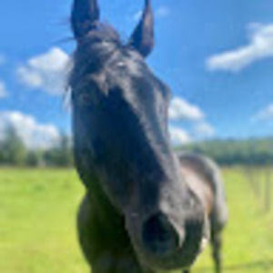 Meet your Posher, April